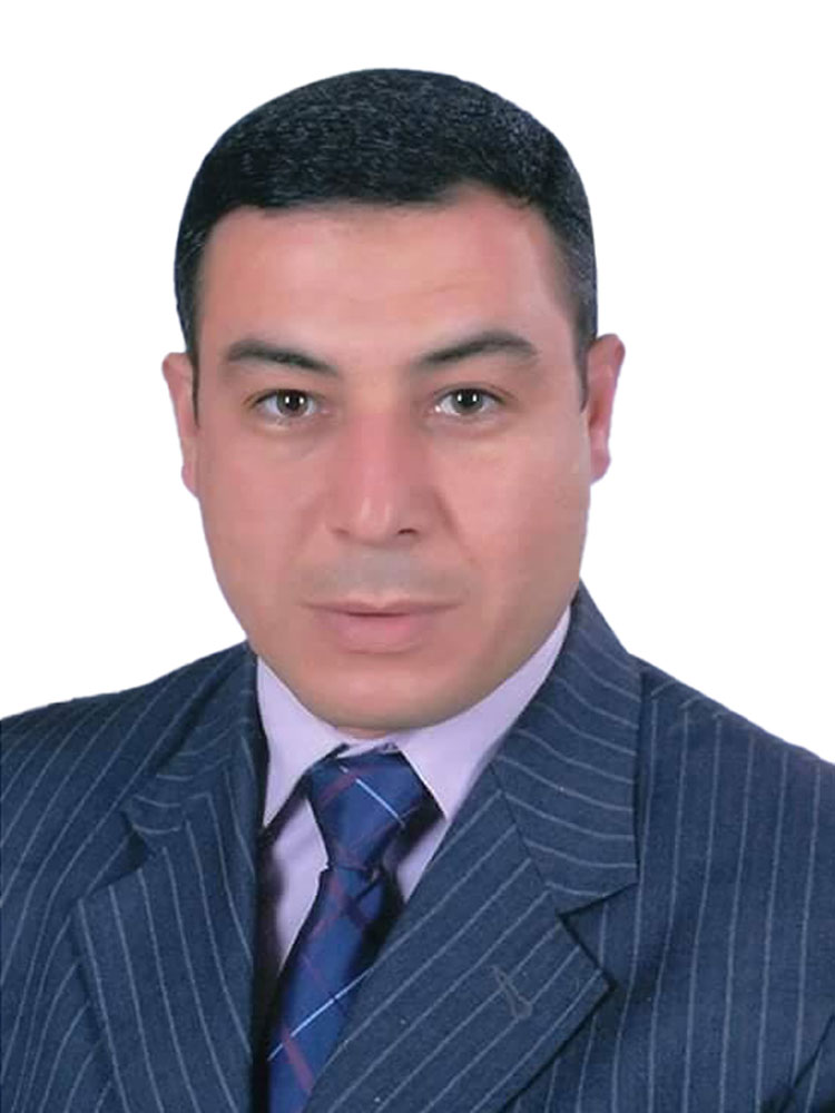 M. Ayman Saber
